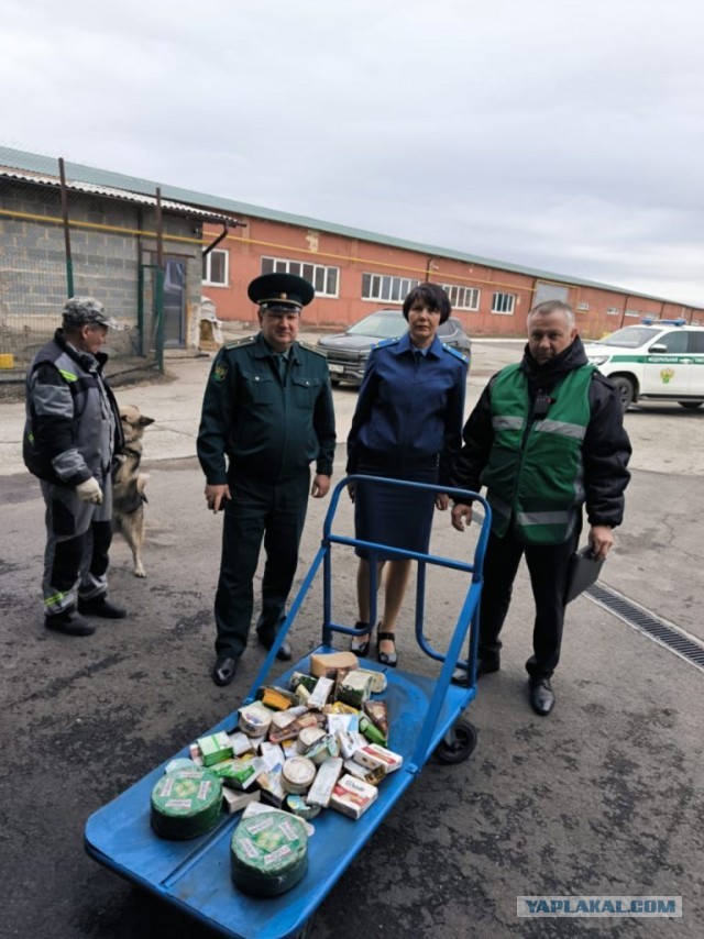 Партию импортного санкционного сыра сожгли в Челябинской области. Фото