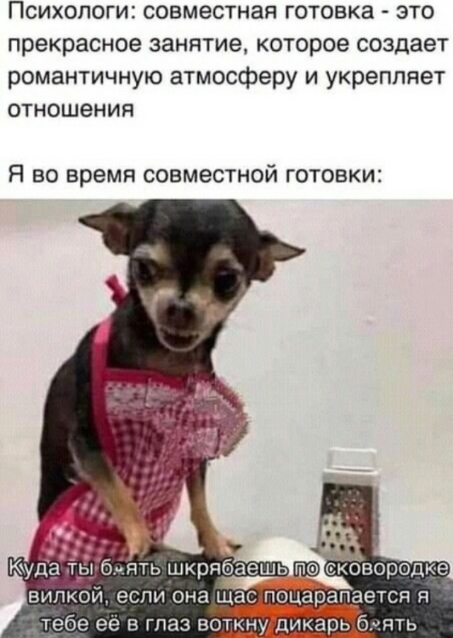 Весёлый полтишок 16.04 25.