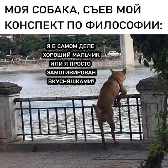 Так себе картинки 29.04.25