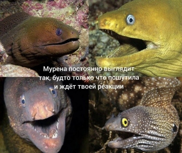 Завалялось тут случайно немного забавных картинок