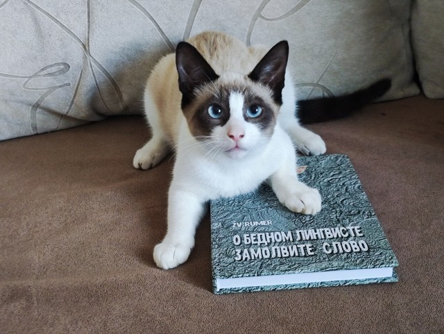 Книга ПОВЕСТИ