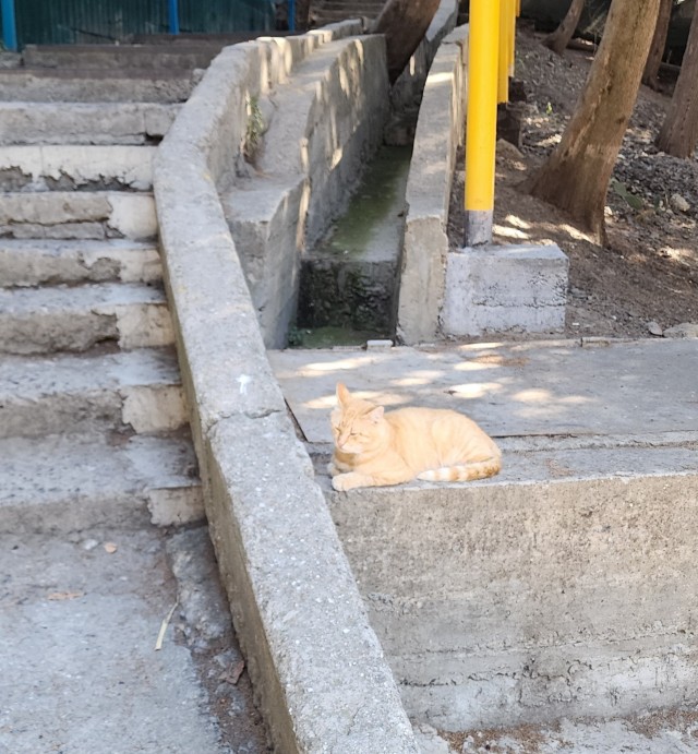 Все женщины одинаковые