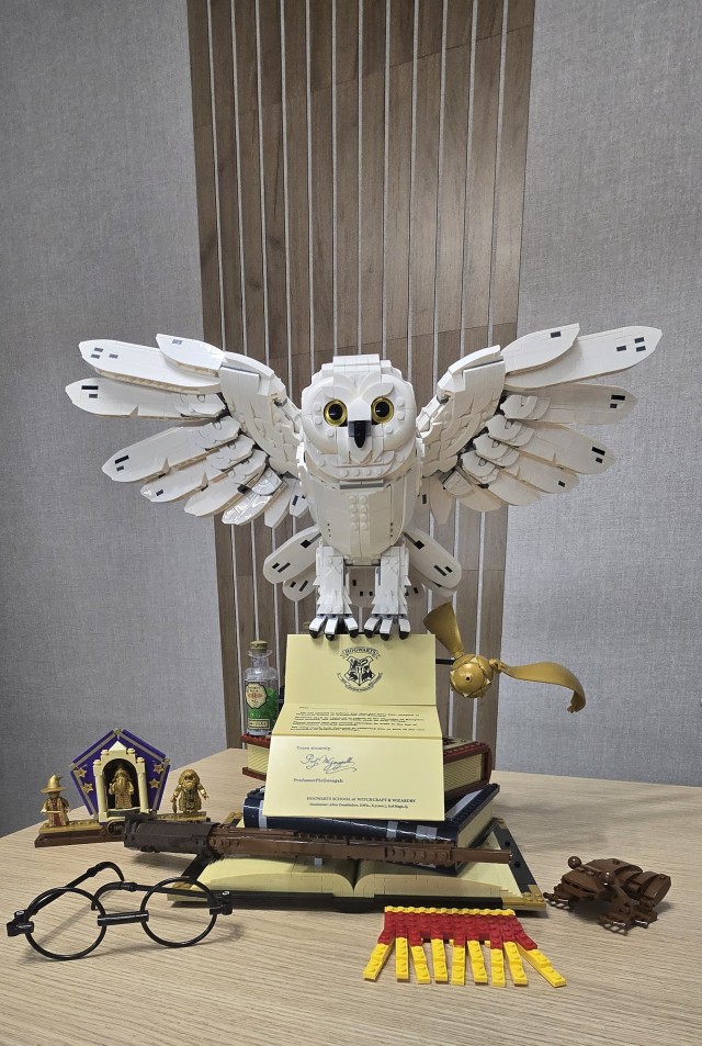 Наконец-то у меня дома появилась сова