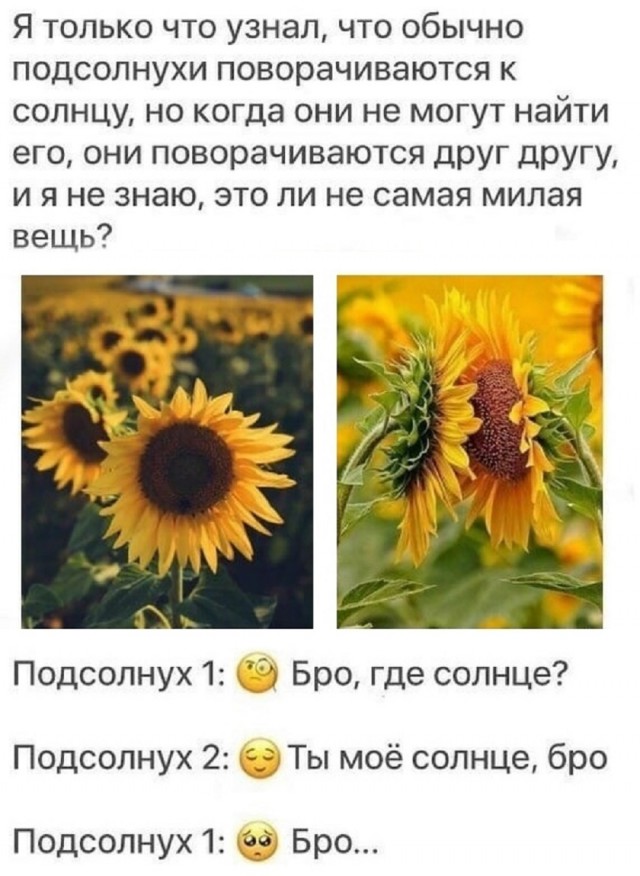 Так себе картинки 06.10.25