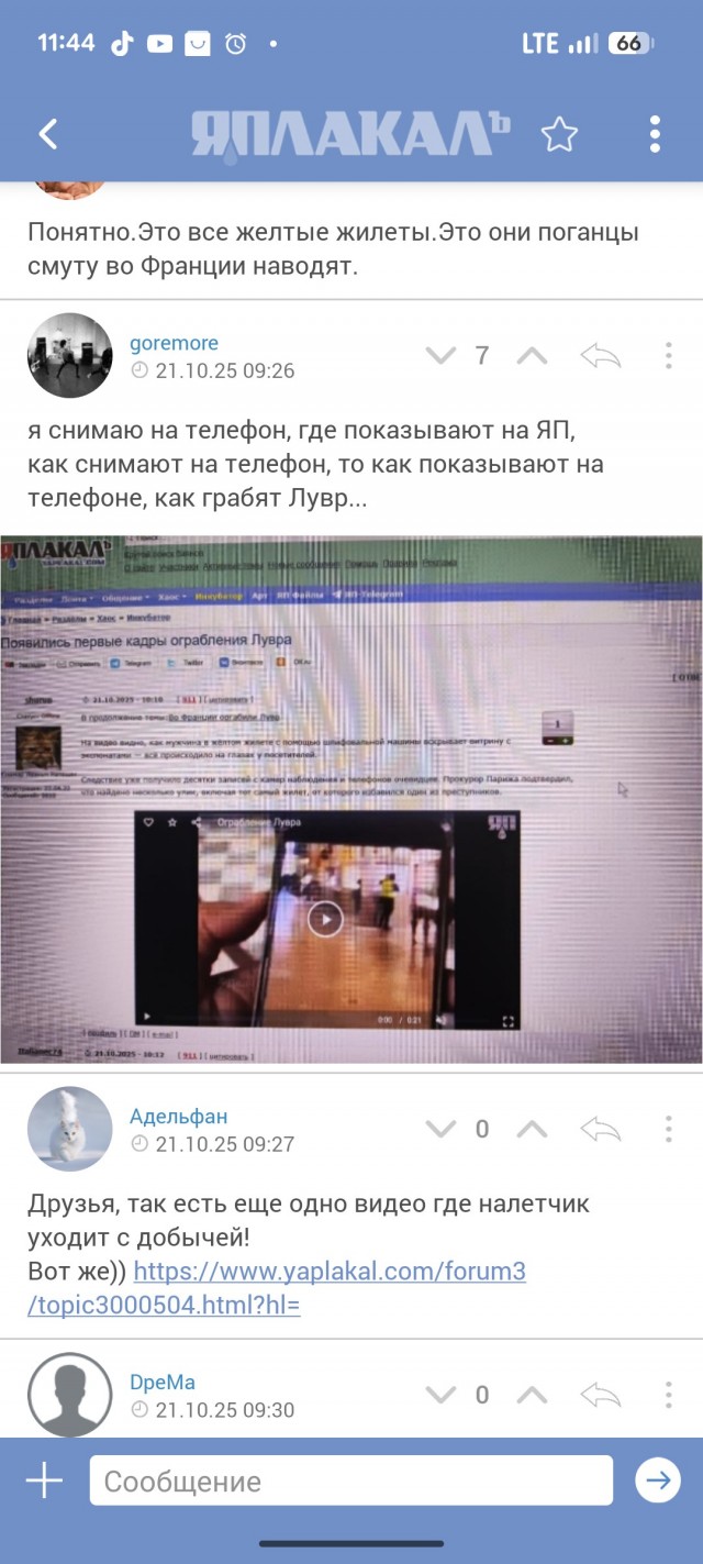 Появились первые кадры ограбления Лувра