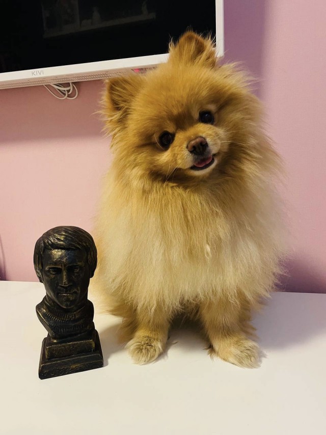 Собакочетверг