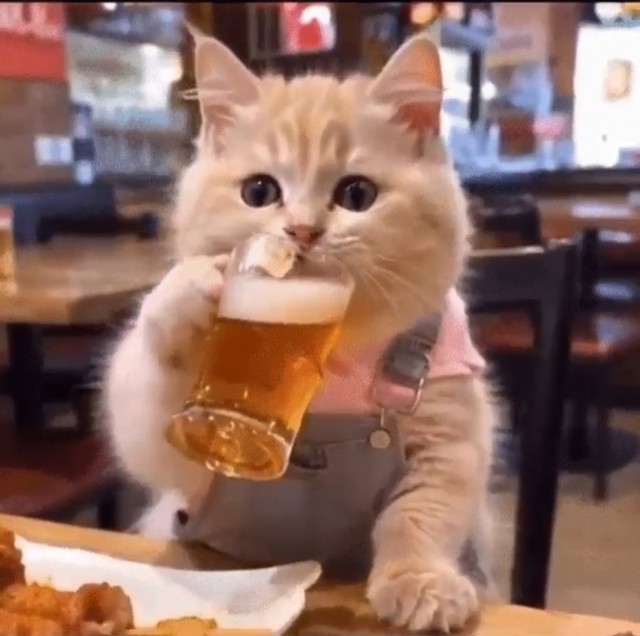 Внутренний конфликт