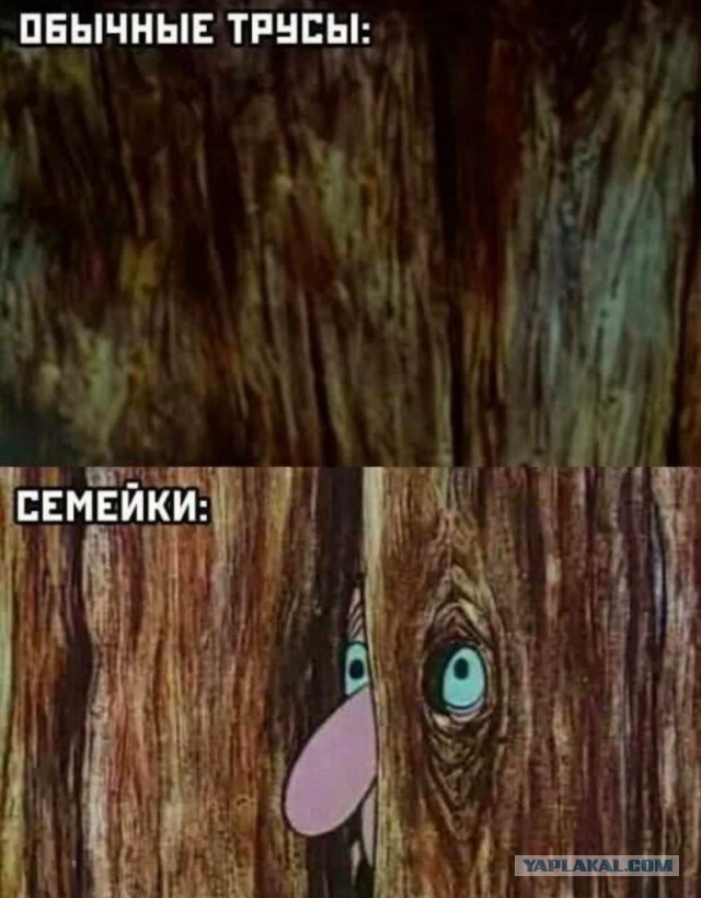Среды картинки