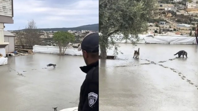 Бетонные дороги в Германии