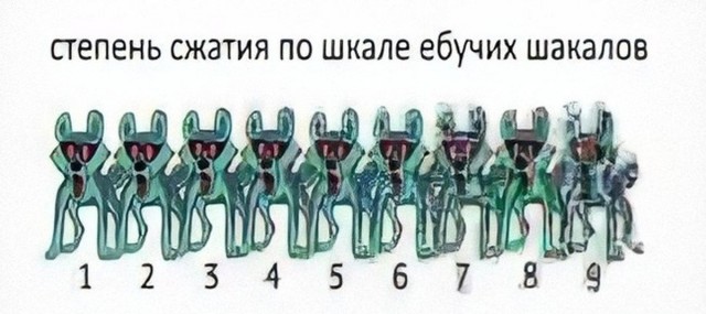 Как назавтракать сову, если у вас закончились сырники