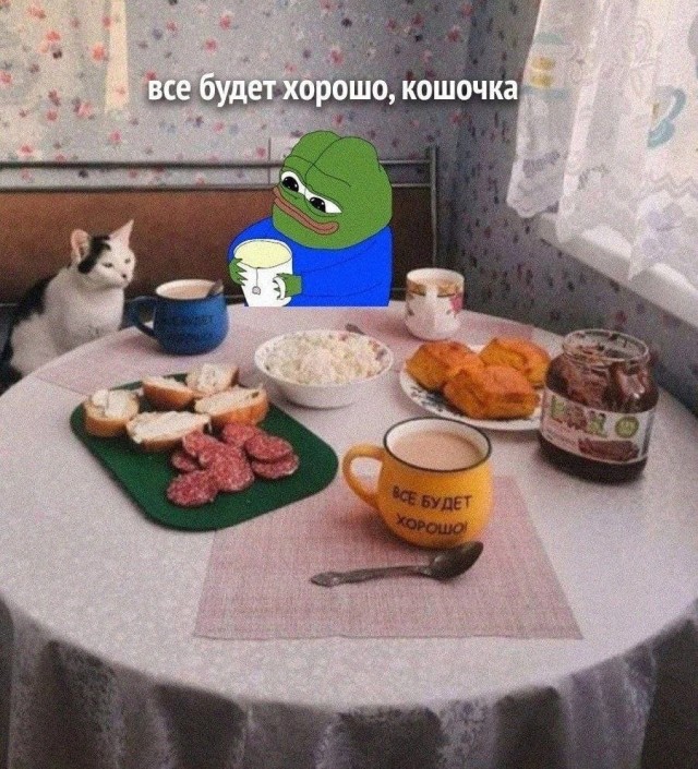 Возлюби кота ближнего своего