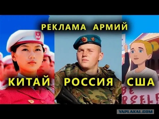 Тигрик Петрик из Южной Кореи