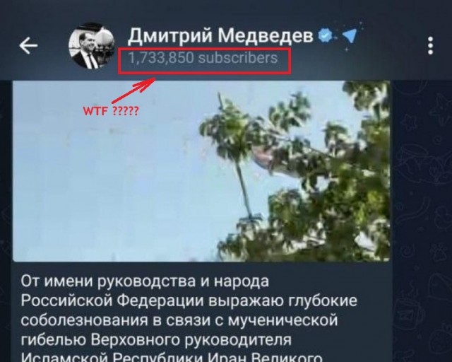 Свинья появилась и исчезла в telegram-канале Дмитрия Медведева