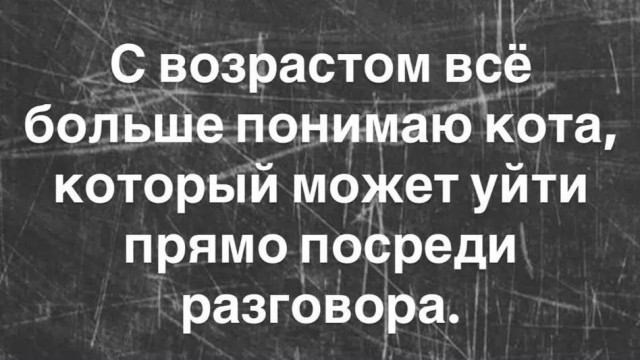 Так себе картинки 31.07.26