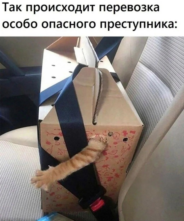 Маленькая пятница