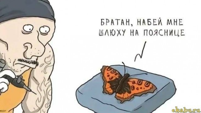 Так себе картинки 13.08.26