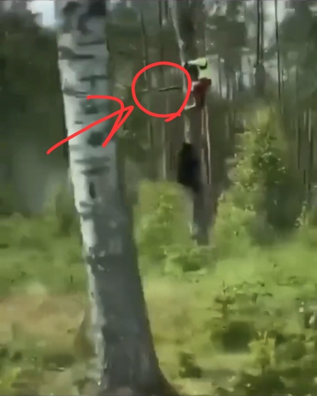 Обычный день в России.