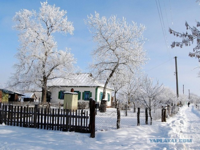Изощренная месть