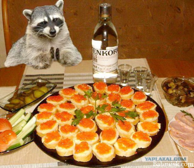 удалить! тест !