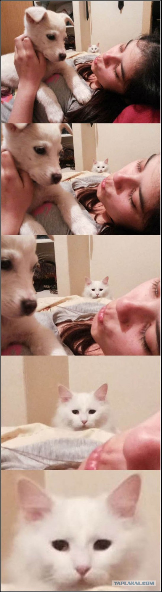 Весёлые картинки. Разбавим будни