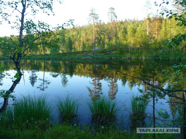 Карелия. р Охта