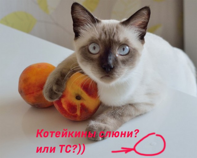 Персики? Хрен тебе, а не персики!