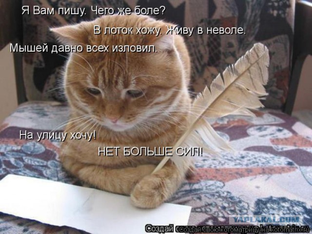 Чёрт, чёрт, чёрт!