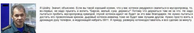 Спасение кота