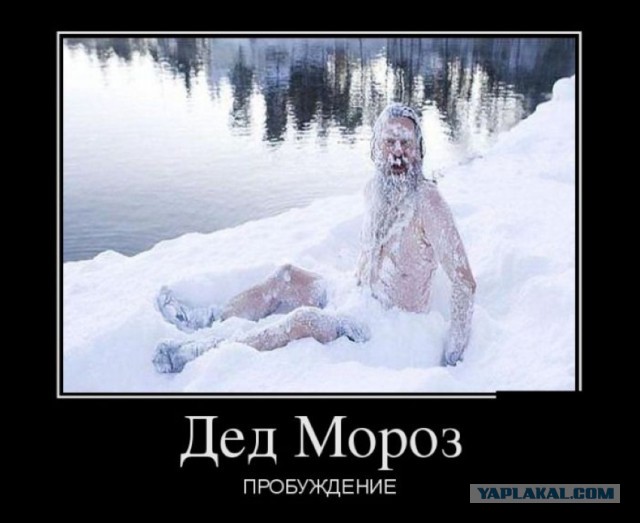 Смешные и не очень картинки из ВК