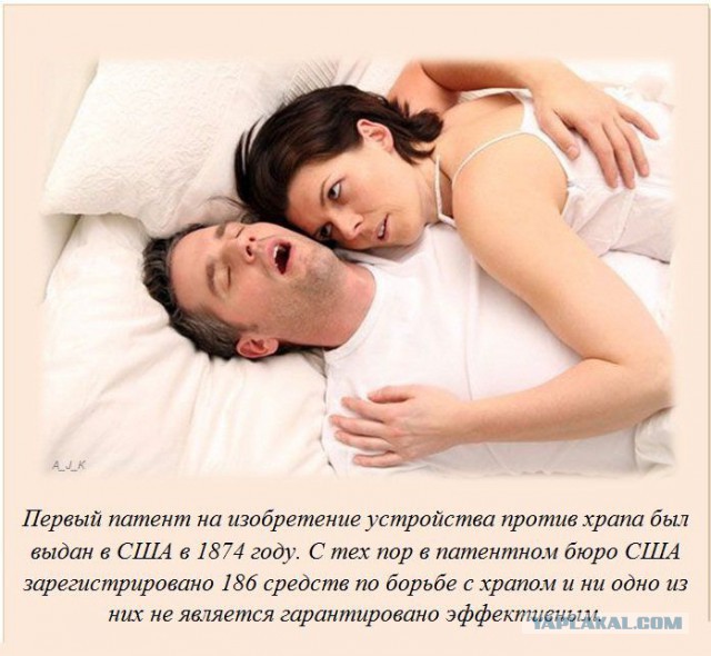 20 фактов обо всем