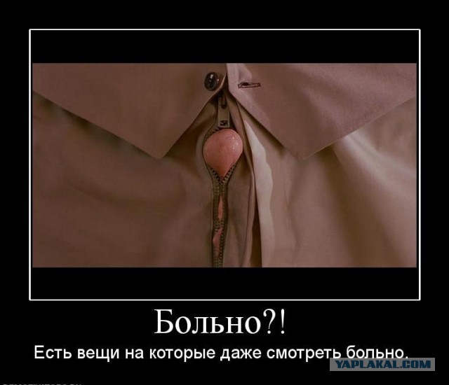 Забавные картинки.