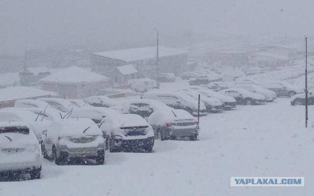 СНЕЖОК Владивосток 26.02.2015
