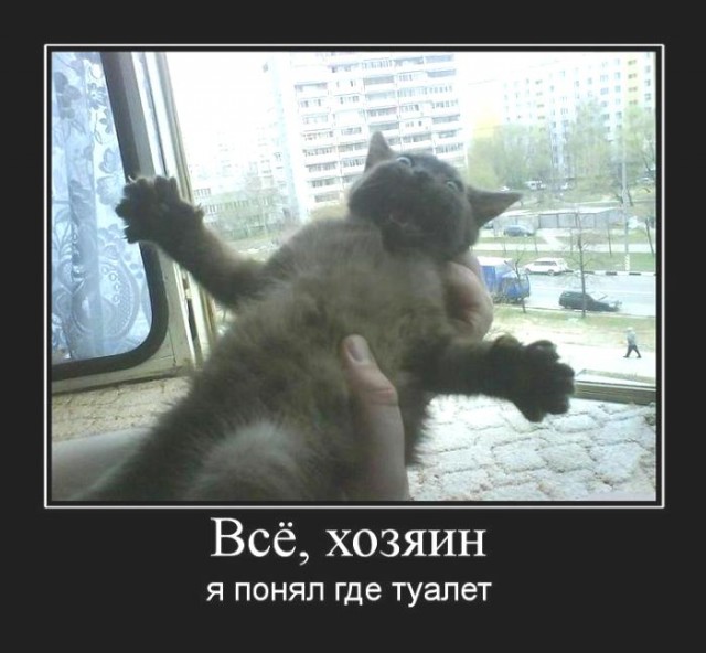 Веселости на пятницу