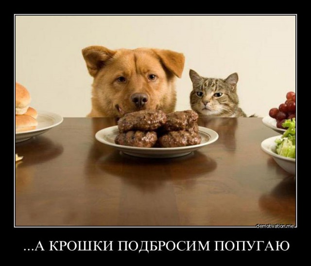 Вы хотите "демов"? часть 2-я