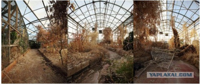 Провалившийся рай - невероятно отрезвляющий эксперимент