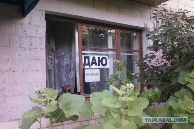 Для веселья пост