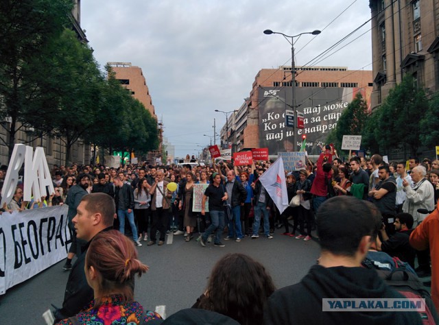 Митинг против правительства в Белграде