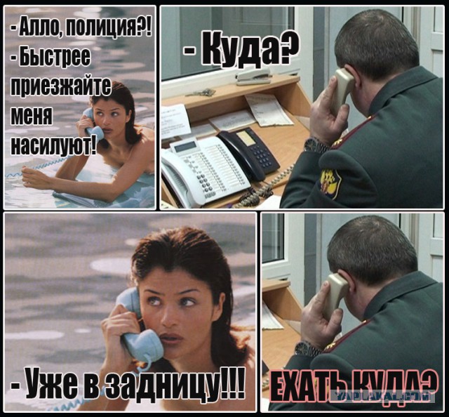 Shtampik.com — Не звоните сюда больше Мем. Алло Гусь