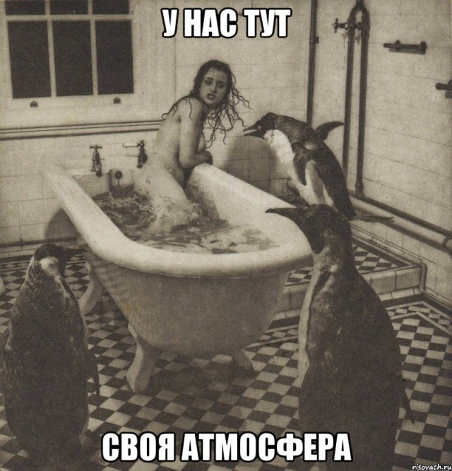 Я понятия не имею, что здесь происходит