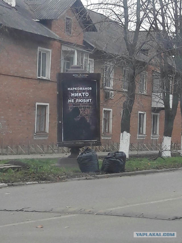 Подборка картинок