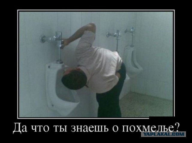 Картинки в черной рамке