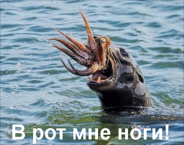 Подборка интересных и веселых картинок