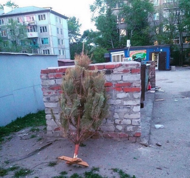 Подборка безудержного веселья