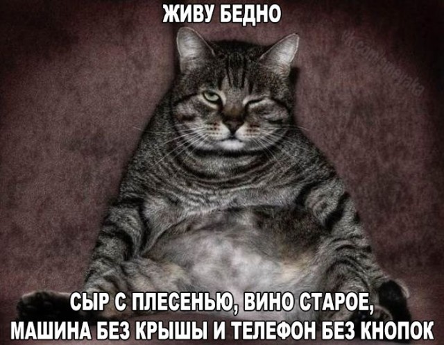 Подборка интересных и веселых картинок