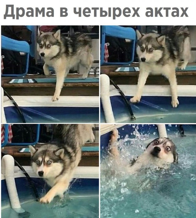 Работа не волк, но картинки сами себя не посмотрят!