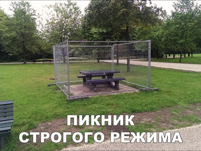 Нестандартный юмор