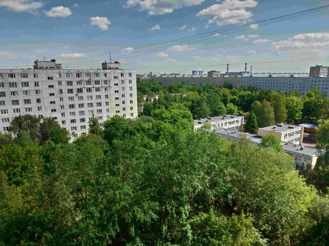Лето, делимся видом из окна