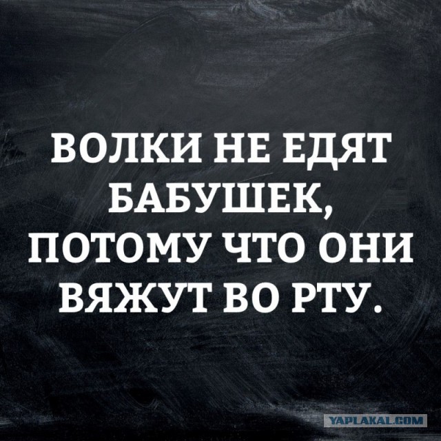 Смешные картинки с надписями