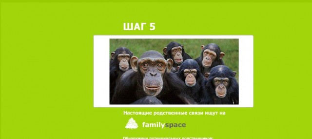 Экспресс-тест