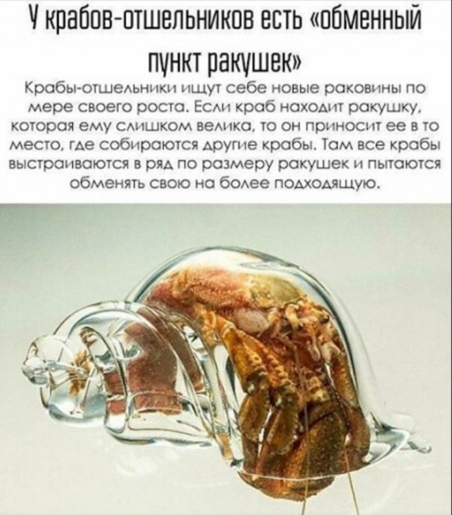 Бредзона 18.03.2020